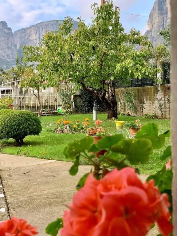 Meteora View Garden Apartment Kalambaka Exterior foto